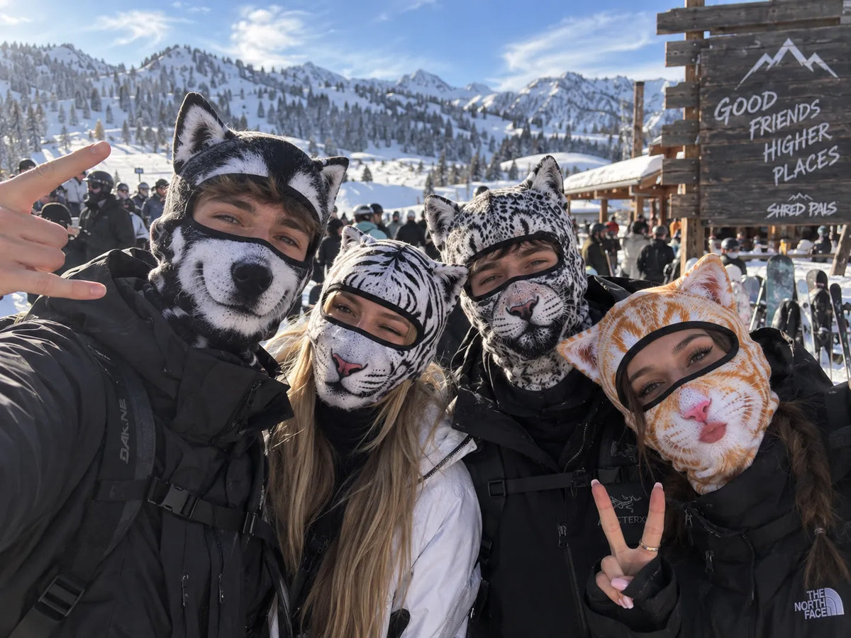 🔥🐱3D-skibalaclava med kattemotiv og ører – dyremaske